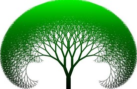Les arbres fractales