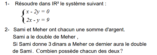 Système de deux équations: Exercice 29