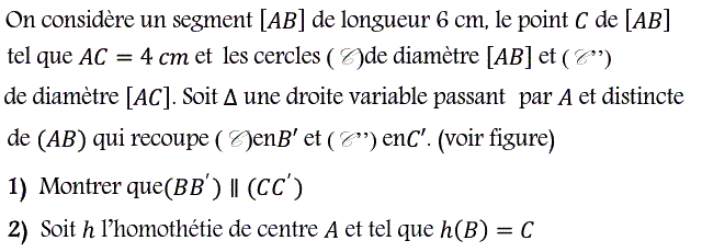 Homotheties: Exercice 35