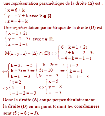 solution Liban S 2010  (image5)