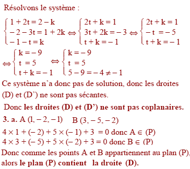 solution Liban S 2010  (image2)